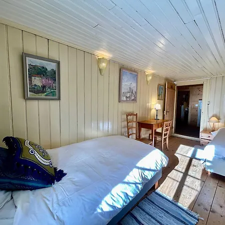 300 Years Old Close To Center Ski-lift