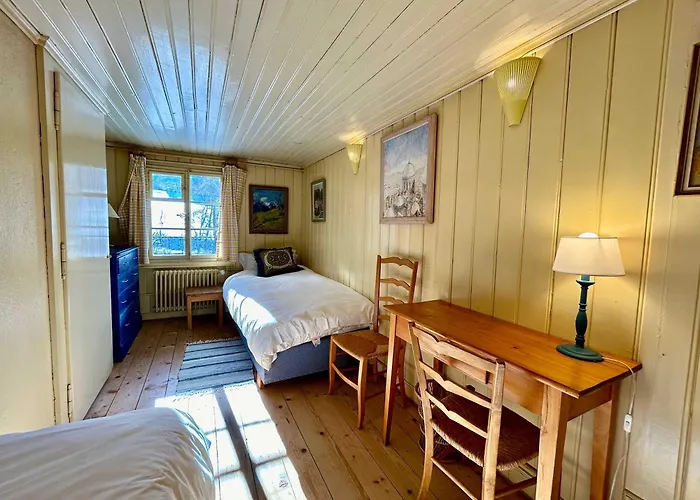 300 Years Old Close To Center Ski-lift